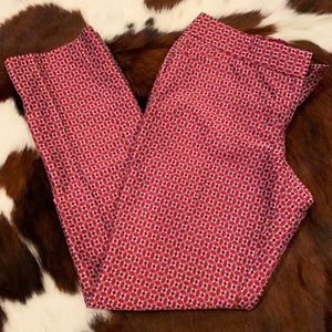 The limited dress pants